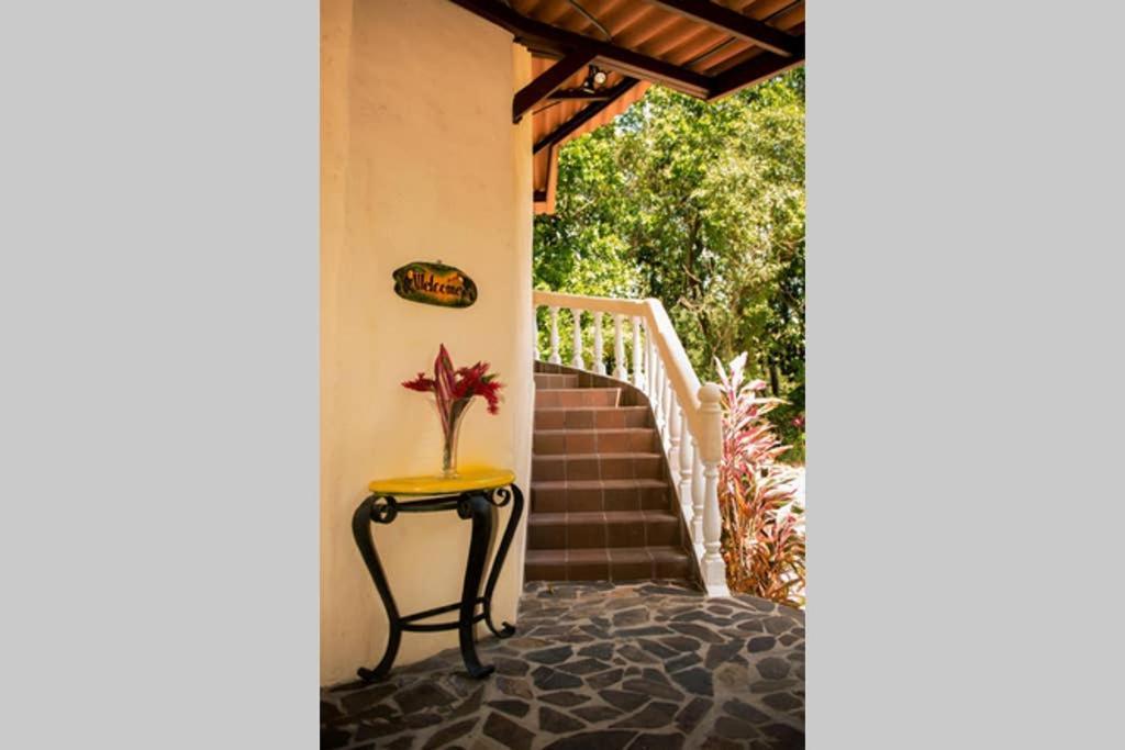 Tower Studio In The Treetops In Altos Del Maria Panama El Picacho Εξωτερικό φωτογραφία